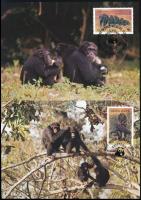 WWF: Chimpanzees set on 4 CM, WWF Csimpánzok sor  4 db CM-en