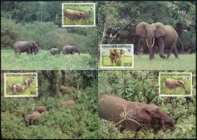 WWF Forest elephant set 4 CM, WWF: Erdei elefánt sor 4 db CM-en