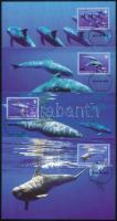 WWF Pygmy killer whales set 4 CM, WWF: Törpe kardszárnyú delfinek sor 4 CM
