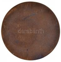 Pátzay Pál (1896-1979) DN "Sajó Elemér 1875-1934" Br vízügyi díjplakett "LUDVIG"...