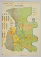 1896 Treitz Péter: Magyar-Óvár határának részletes talaj térképe, M. Kir. Földtani Intézet Évkönyve XI. kötet, 68x50 cm