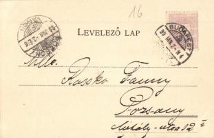 1899 Budapest I. Királyi várpalota, Tabán és Krisztinaváros látképe, Károlyi György kiadása (EK)