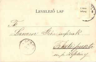 1898 Budapest VIII. Kálvin tér, szökőkút, villamos, gyógyszertár, Károlyi György kiadása (EK)