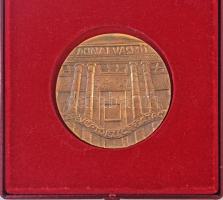 Palotás József (1947-) DN "Dunai Vasmű 25 éves Törzsgárdatag" Br plakett, hátoldalán sorszámozva, sérült dísztokban (90mm) T:2