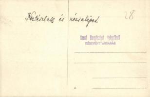 Budapest XIII. Margitsziget, Kertész lak és Rózsaliget, photo