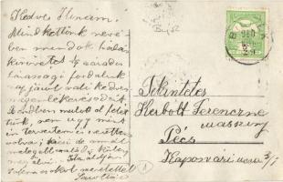 1910 Buják, lakóház, vadászlak, photo