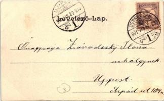 Debrecen, Csolnakázó tó, Kiss Ferencz felvétele, Pongrácz Géza kiadása (EK)