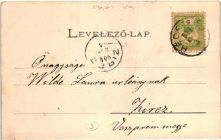 Hédervár, Pásztor tó környéke, Berecz Viktor kiadása (EK)