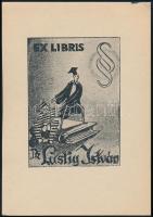 Jelzés nélkül: Ex libris Dr. Lustig István. Klisé, papír, 8x6 cm