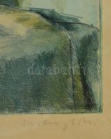 Surányi Nándor (?-): Őszi virágok. Színezett rézkarc, papír, jelzett, üvegezett keretben, 29×39 cm