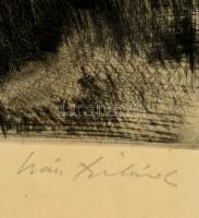 Iván Szilárd (1912-1988): Táj. Rézkarc, papír, jelzett, üvegezett keretben, 23×33 cm