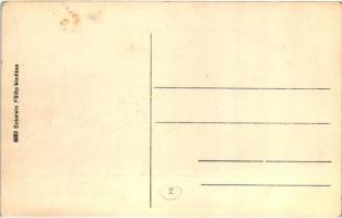 Törökbálint, Fő utca, Községháza, Eckstein Fülöp kiadása (EK)