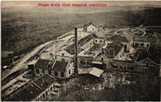Algyógy, Geoagiu; M. kir. áll. vasgyárak szanatóriumának látképe / iron factorys sanatorium (EK)