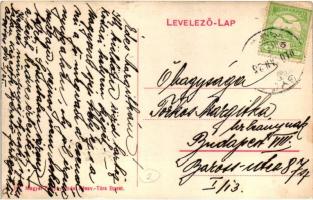 Algyógy, Geoagiu; M. kir. áll. vasgyárak szanatóriumának látképe / iron factory's sanatorium (E...