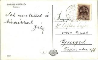 Borszék, Borsec; Fürdő és borvíz üzlet díszkapuja, sorompó "Szekér forgalom tilos" tábláva...