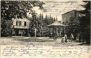 Előpatak, Valcele; Fürdő, fő kút és svájci ház / Hauptbrunnen und Schweizer Haus / spa, main fountain and the Swiss House (EK)