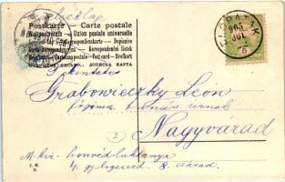 Előpatak, Valcele; Fürdő, fő kút és svájci ház / Hauptbrunnen und Schweizer Haus / spa, main fountai...