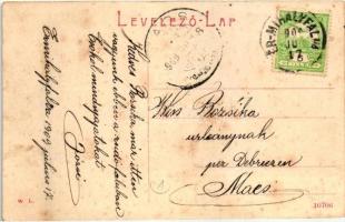 Érmihályfalva, Valea Lui Mihai; Fő tér, Grosz Hermann üzlete, W. L. / main square, shops (fa)