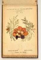 cca 1900 A Szentföld képei és virágai fa-borítású füzet a 14 képpel és szárított virágokkal. / Flowe...