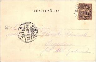 Lugos, Lugoj; Magyar király szálloda, étterem és kávéház, Auspitz Adolf kiadása / hotel, restaurant ...