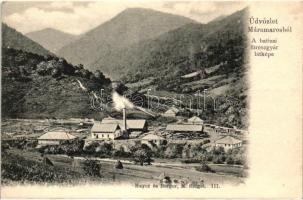 Batiza, Botiza (Máramaros); A fűrészgyár látképe, fűrésztelep. Mayer és Berger kiadása / sawmill (EK)