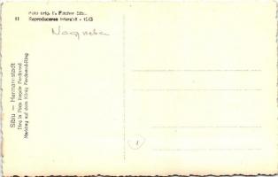 Nagyszeben, Hermannstadt, Sibiu; Markttag auf dem König Ferdinand-Ring / Vásárnap a Ferdinánd király...