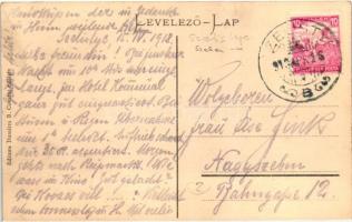 Szelistye, Selischte, Saliste; Casa Nationala / Nemzeti ház, Dumitru B. Comsa kiadása / National Hou...