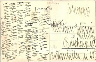 Sztána, Stana; Dr. Kiss Mór-féle villa, létra / villa, ladder (Rb)