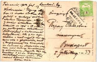 Temesvár, Timisoara; Gyárváros, Hungária fürdő, híd, csónakázók, Feder R. Ferencz felvétele és kiadá...