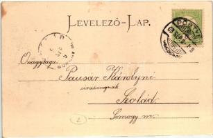 Pöstyén, Piestany; Neue Parkallee / Új park / park (EK)