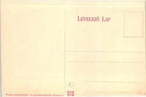 Rozsnyó, Roznava; A római katolikus és az evangélikus gimnázium, Fuchs József kiadása / grammar scho...