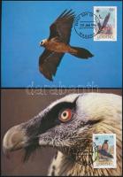 WWF: Saskeselyű sor 4 db CM-en WWF Eagle set 4 CM