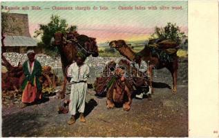 Kamele mit Holz / Chameaux chargés de bois / Teve fával / Camels laden with olive wood, folklore (Rb)