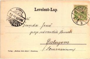 Egyesült Dunai Osztrák-Magyar Flottilla, Szamos monitorhajó és legénysége Pozsonynál, háttérben a vá...