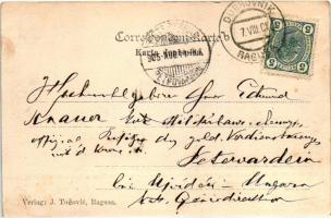 A Pannonia gőzhajó Gravosában / SS Pannonia Schiff Verlag J. Tosovic (EK)