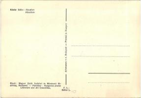 Absalom. A Magyar Zsidó Irodalmi és Művészeti Bizottság kiadása / Absolom. Published by the Hungaria...