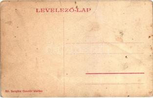 Erzsébetváros, Dumbraveni; Erzsébet utca, Seraphin Gusztáv kiadása / street view (lyukak / pinholes)