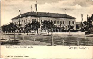 Kassa, Kosice; Rákóczi ereklyekiállítási palota, Nyulászi Béla kiadása / relic museum (EK)