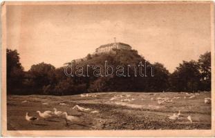 Munkács, Mukacheve, Mukacevo; Várpalánka, vár, libák / Palanky castle, geese (ázott / wet damage)