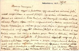 Ipar, a magyar iparosság gazdasági szaklapja, felelős szerkesztő és kiadótulajdonos Szöllősy Ferenc....