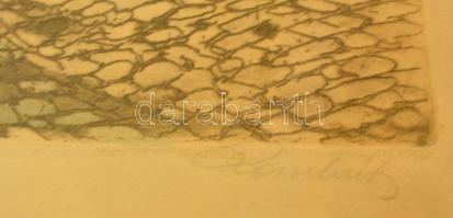 Paulovits Pál (1892-1975): Tabán, színezett rézkarc, papír, jelzett, üvegezett fa keretben, 20×25 cm