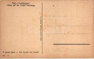 Hortobágy, A gulya dísze, folklór (EK)