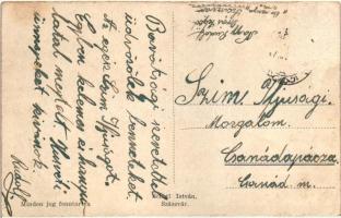 Szászvár, strandfürdő az erdő között, látkép, utcakép, Schetl István kiadása (Rb)