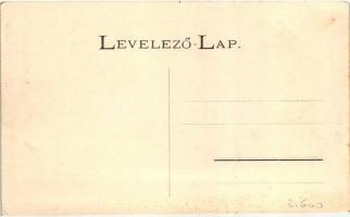 Tőketerebes, Trebisov; Gróf Andrássy kastély a parkkal.   / castle with park (EK)