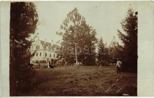 Tőketerebes, Trebisov; Andrássy kastély, park / castle, park, photo (EK)