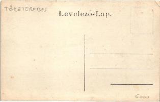 Tőketerebes, Trebisov; Andrássy kastély, park / castle, park, photo (EK)