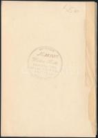 cca 1920 Indiai nő. Walter A. Scott  pecséttel jelzett fotója / Indian woman