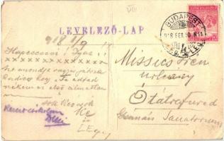 Egyedi, kézzel készített képeslap, a Központi Hatalmak zászlóival és a budapesti Pannonia szálloda k...