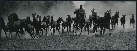 cca 1964 Jelzett kortárs fotóművészeti alkotások, 3 db vintage fotó, 9x23,5 cm és 23x16,5 cm