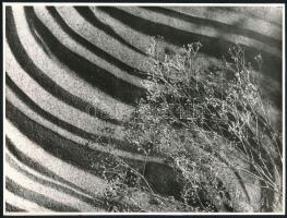 cca 1978 Kortárs fotóművészeti alkotások, 4 db vintage fotó, 18x23 cm és 14x20,4 cm között